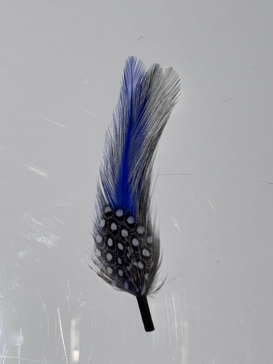 Western Hat Feather