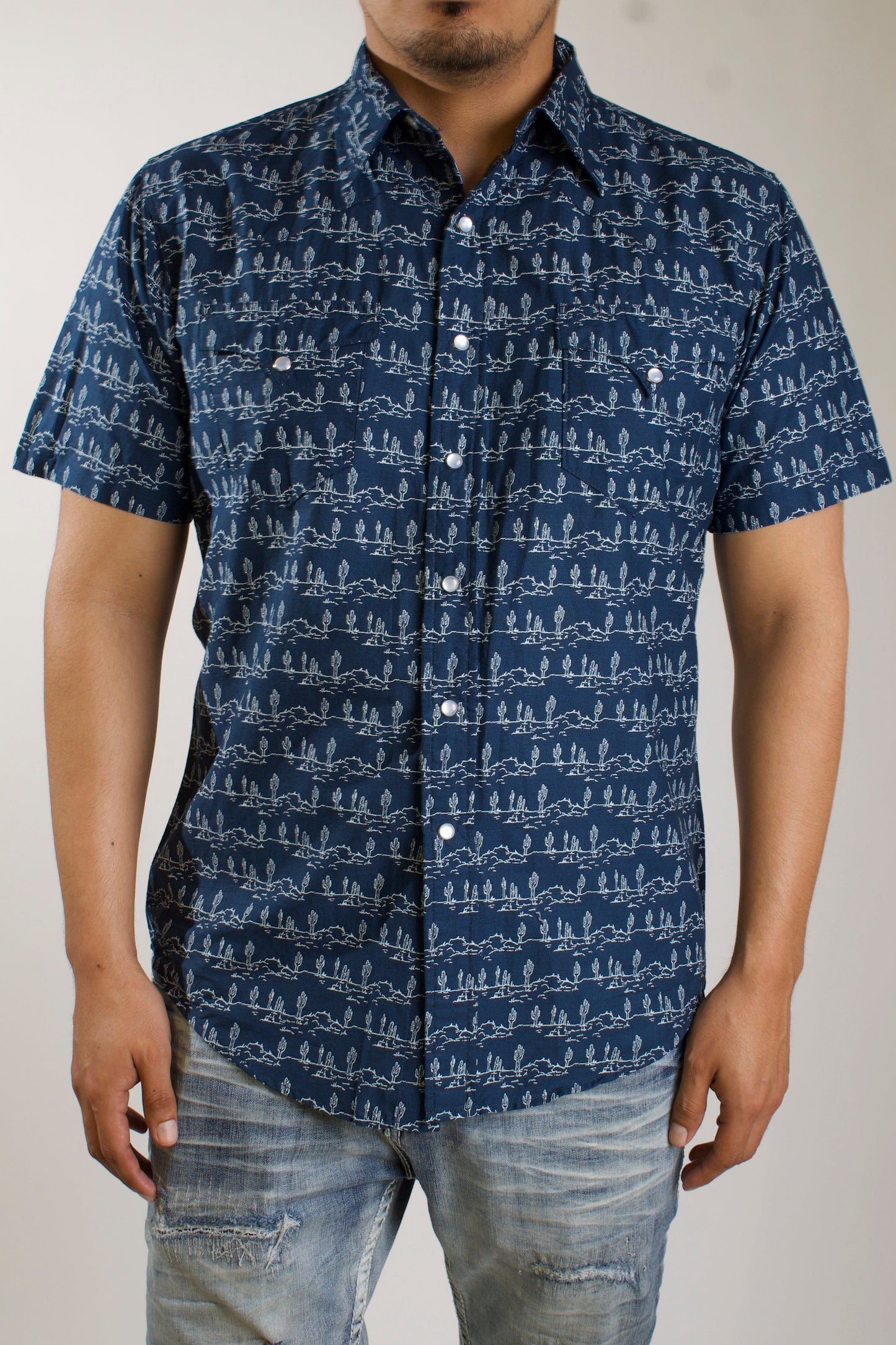 Men's Desert Stripe Print S/S Shirt - Roper