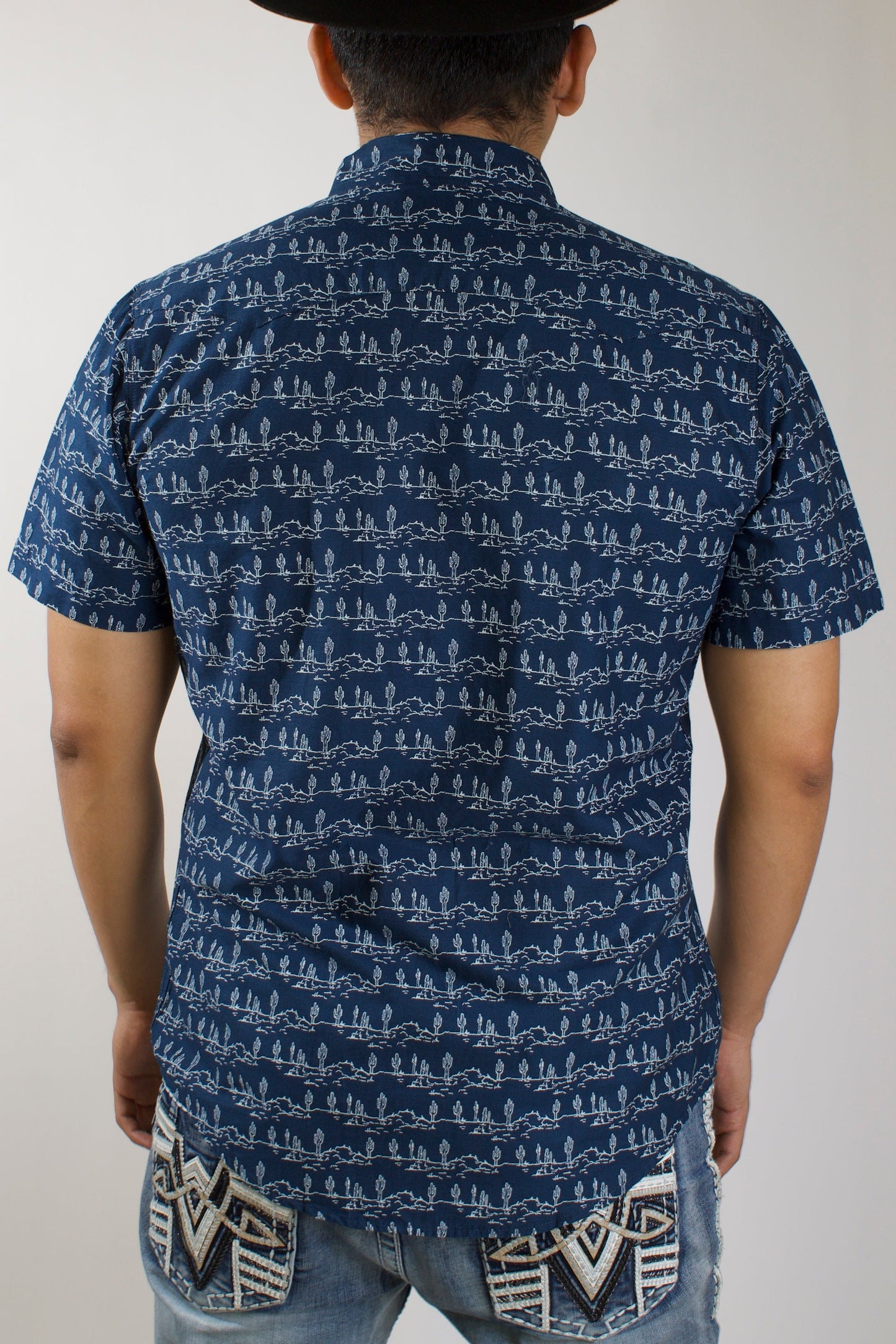 Men's Desert Stripe Print S/S Shirt - Roper