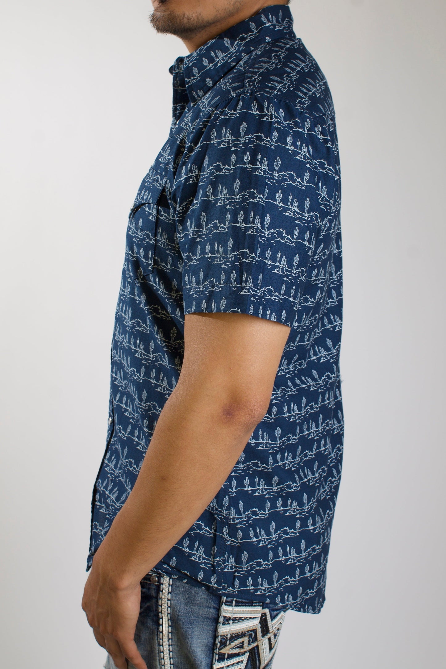 Men's Desert Stripe Print S/S Shirt - Roper