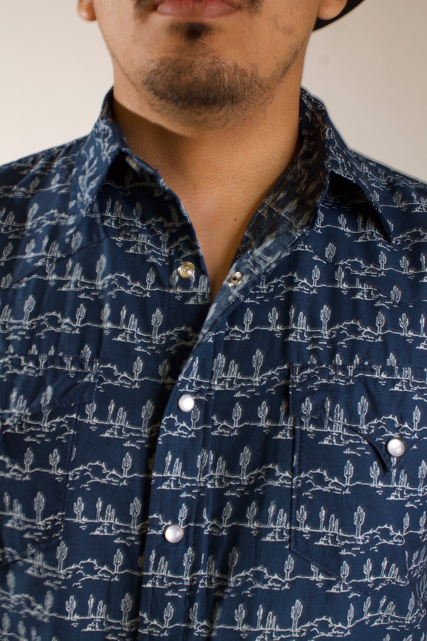 Men's Desert Stripe Print S/S Shirt - Roper